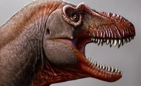 «Жнец смерти»: учёные обнаружили ранее неизвестный вид динозавра 