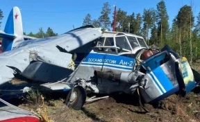 Восемь человек пострадали при жёсткой посадке самолёта в Чите