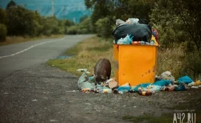 Сдал на металлолом: в Кемерове задержали похитителя мусорных баков