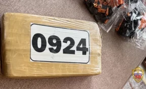 В московской гостинице у мужчины изъяли почти 1 кг кокаина