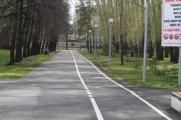 Фото: В Кемерове на всех велодорожках обновили разметку 1