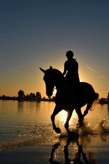 Фото: Как воспитать лошадь и всадника: разговор с тренером по конному спорту 7