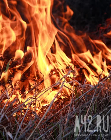 Фото: A42.RU
