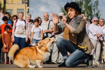 Фото: Показательные выступления собак пройдут в Кемерове в День шахтёра 1