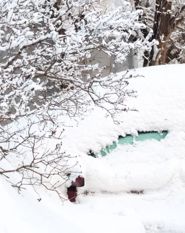В Новокузнецке усилили борьбу с «подснежниками»: автовладельцам дали 14 дней