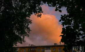 Синоптики: в Кузбасс на выходных вернётся жара до +31
