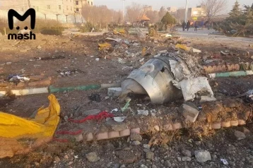 Фото: Момент падения украинского Boeing 737-800 в Иране попал на видео 1