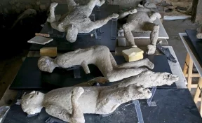 На руинах Помпеи нашли жертву извержения Везувия со стеклянным мозгом