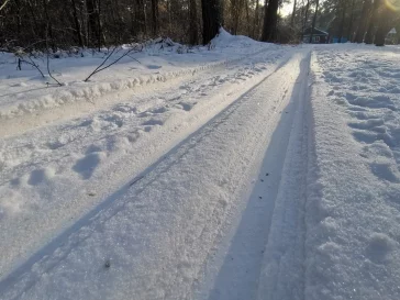 Фото: В Кемерове лыжные трассы в Рудничном бору готовят к открытию сезона 1