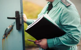 Производство о выселении Долиной появилось в базе судебных приставов