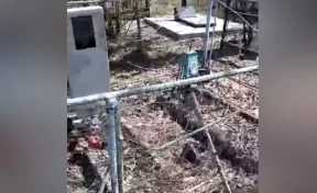 В Кузбассе полиция ищет вандалов, повредивших могилу ветерана ВОВ