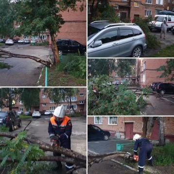 Фото: В Кузбассе ураганный ветер повалил дерево на автомобиль 1