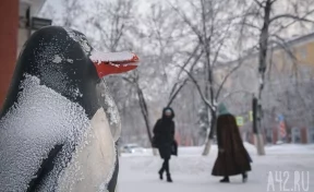 До -40: морозы не отступят на выходных в Кузбассе