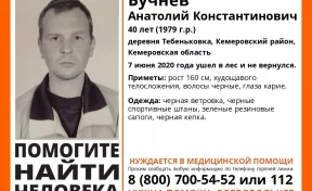 Ушёл в лес и пропал: в Кузбассе две недели ищут 40-летнего мужчину