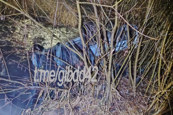 В Прокопьевске пьяный водитель влетел в дорожный знак: пострадали два человека