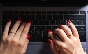 Эксперт назвала четыре отрасли, в которых сохранится удалёнка