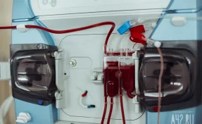 В 2026 году Правительство выплатит почётным донорам 12,5 миллиарда рублей