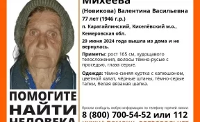 В Кузбассе без вести пропала 77-летняя женщина в цветном халате