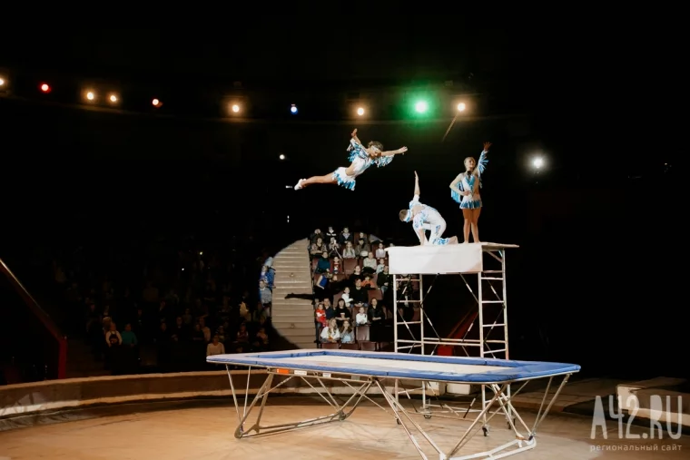 Фото: «Карнавал животных» в кемеровском цирке 27