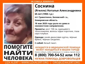 Фото: Волонтёры изменили ориентировку на пропавшую пенсионерку из Кузбасса 1