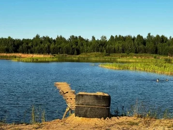 Фото: В Тверской области нашли тело утонувшей девочки, которая купалась с родителями в водоёме 1