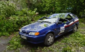 В Кемерове сотрудник «Почты России» был в машине, когда на неё рухнуло дерево
