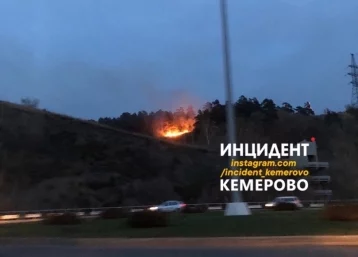 Фото: Площадь пожара в кемеровском Сосновом бору составила 700 квадратных метров 1