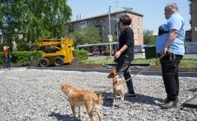 В Кемерове отремонтируют площадку для выгула собак на улице Дзержинского