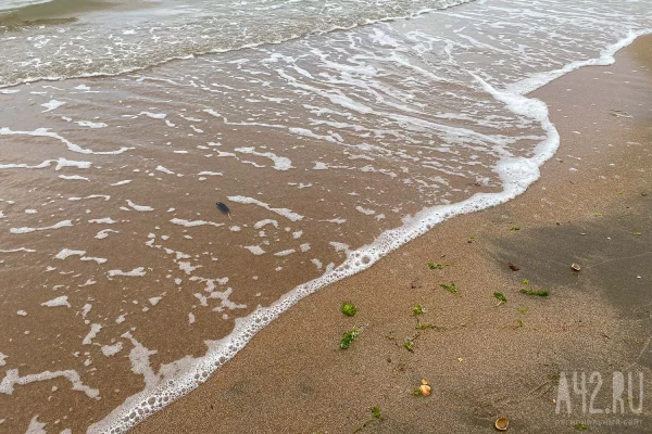 Мощная волна выбила стёкла в ресторане и смыла посетителей в Сочи