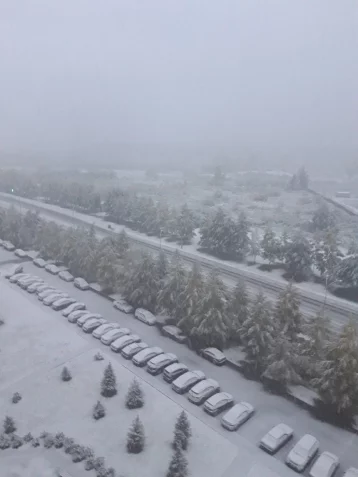 Фото: «А на улице зима!»: кемеровчане делятся в соцсетях фотографиями первого снега  1
