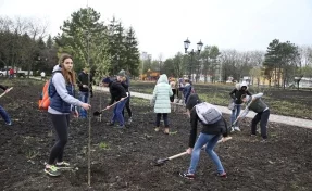 В Пятигорске высадили аллею памяти погибших в «Зимней вишне»