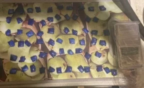 В Кузбассе наркодилер прятал более 60 свёртков метадона в микроволновой печи