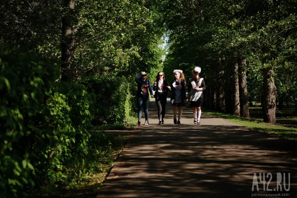 В Топкинском округе появится «Парк выпускников» почти за 5 млн рублей