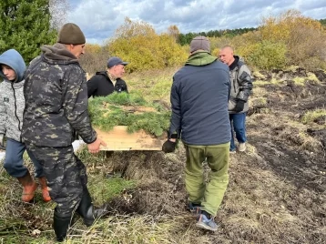 Фото: В Кузбассе на месте леса, пострадавшего от союзного короеда, высадили почти 5 000 сеянцев кедра 1