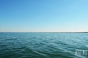 Фото: В Австралии туристка поплавала под водой, вернулась в лодку и умерла 1
