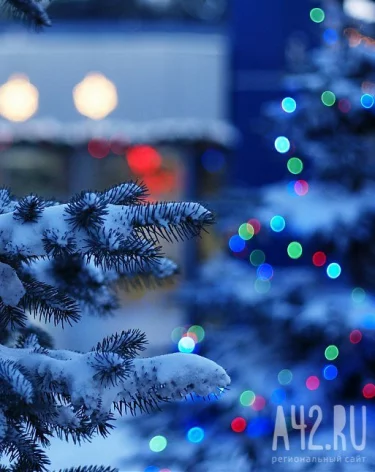 Кузбассовцам рассказали, как не спалить квартиру новогодней гирляндой