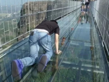 Фото: В Китае построили самый длинный стеклянный мост в мире: он немного трясётся 1