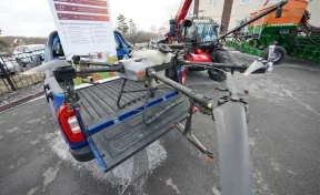 В Кузбассе за год введут в оборот 20 тысяч га брошенных земель