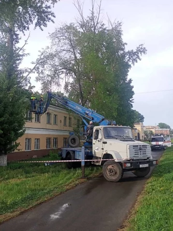 Фото: Власти Кемерова прокомментировали инцидент с упавшим деревом, которое повредило крышу дома 1