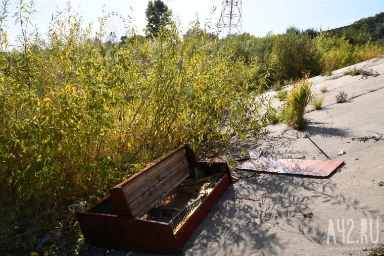 Фото: Кемеровчане разбили оставленное под мостом «вежливое» пианино 4