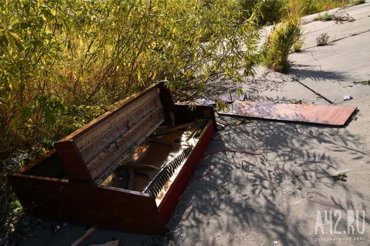 Фото: Кемеровчане разбили оставленное под мостом «вежливое» пианино 5