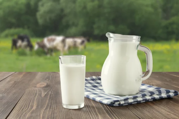 Финансовая поддержка молочной отрасли увеличена почти вдвое