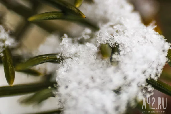 Зима возвращается: синоптики рассказали о погоде 16 апреля в Кузбассе