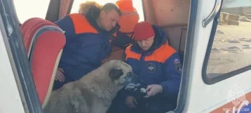Фото: Сотрудники МЧС спасли вмёрзшую в лёд собаку 1