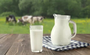 Финансовая поддержка молочной отрасли увеличена почти вдвое