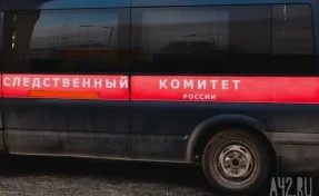 В Кузбассе компания подростков избила мальчика: СК возбудил дело
