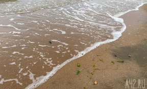 Мощная волна выбила стёкла в ресторане и смыла посетителей в Сочи