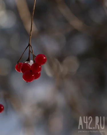 Фото: А42.RU