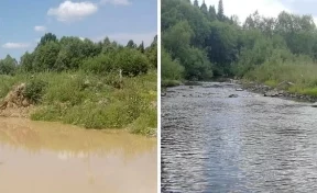 В Кузбассе золотодобытчики очистили реку после рейда властей