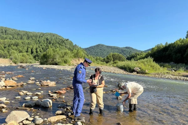В Кузбассе золотодобытчик заплатил 4,5 млн рублей за ущерб реке и лесу